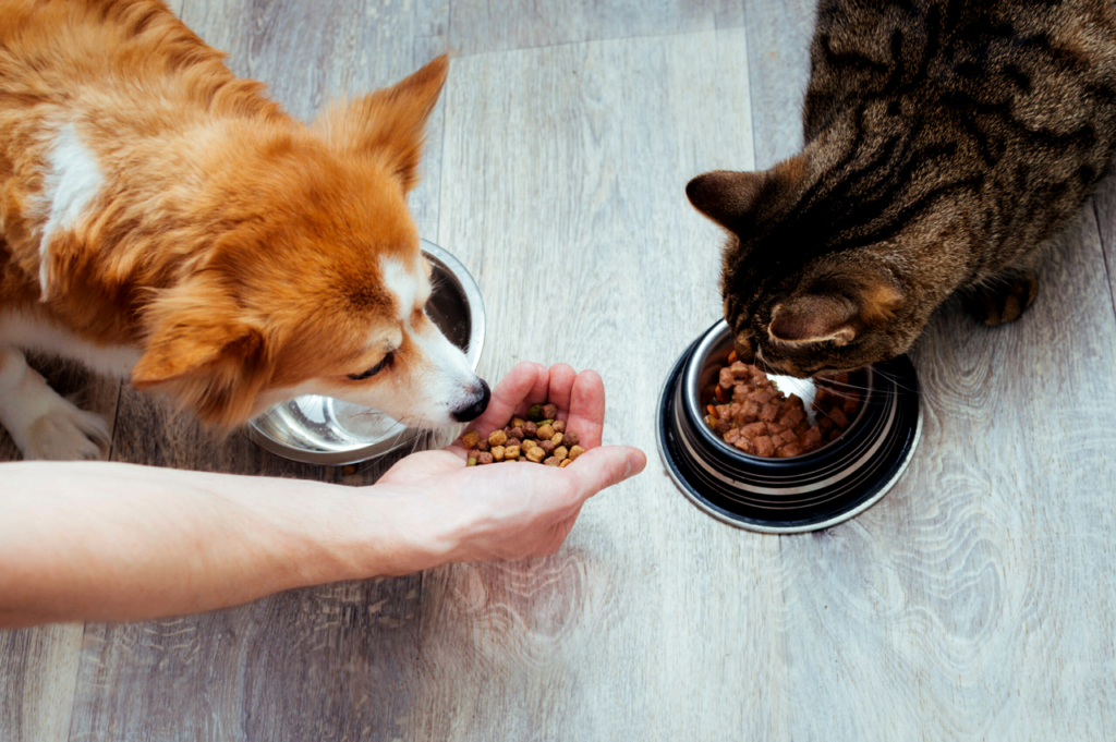 Pet Food Banks Expand As Demand Rises