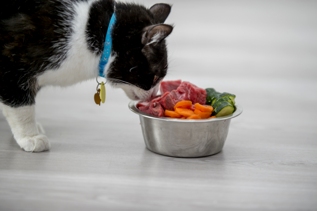 Understanding Pet Nutrition Labels
