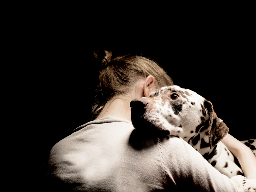 What To Do When Struggling With Pet Loss