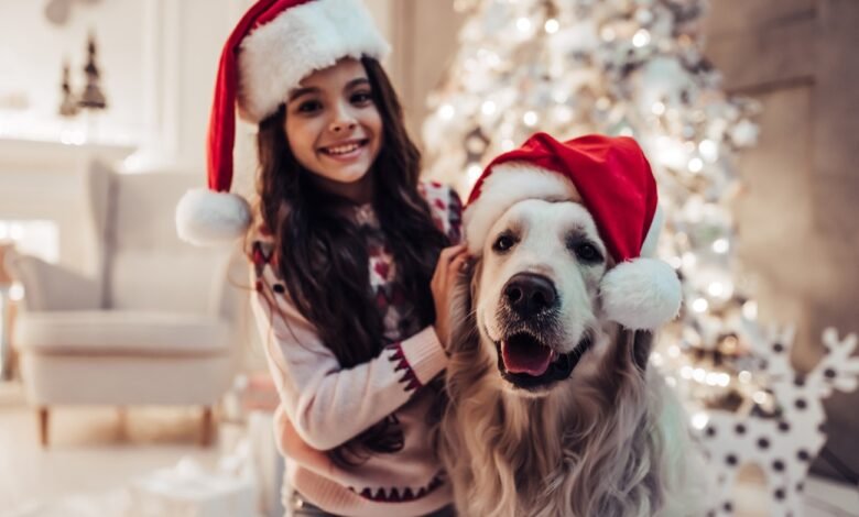 Are Christmas Pets a Good Idea