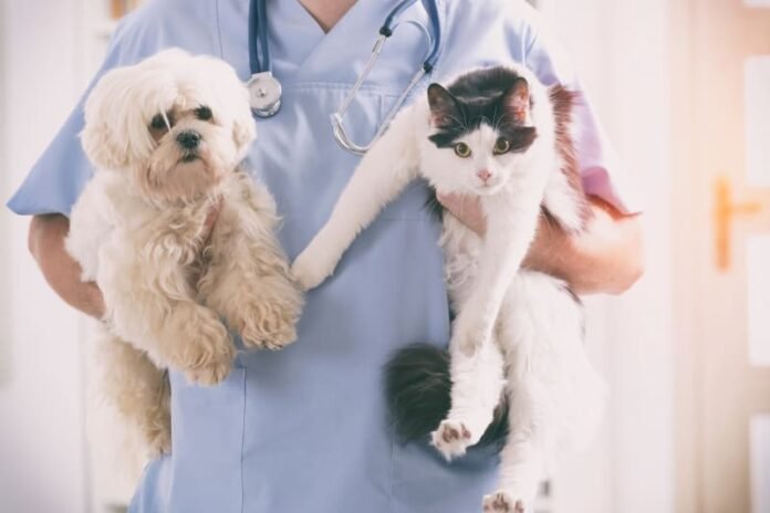 Veterinary Care Services