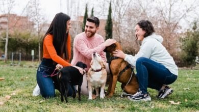 Importance of Play for Pets
