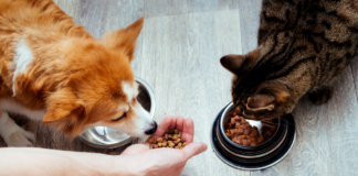 Pet Food Banks Expand As Demand Rises