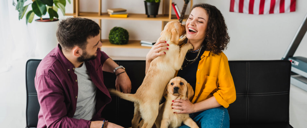Pet Mental Health Matters Promoting Wellbeing in Your Pets