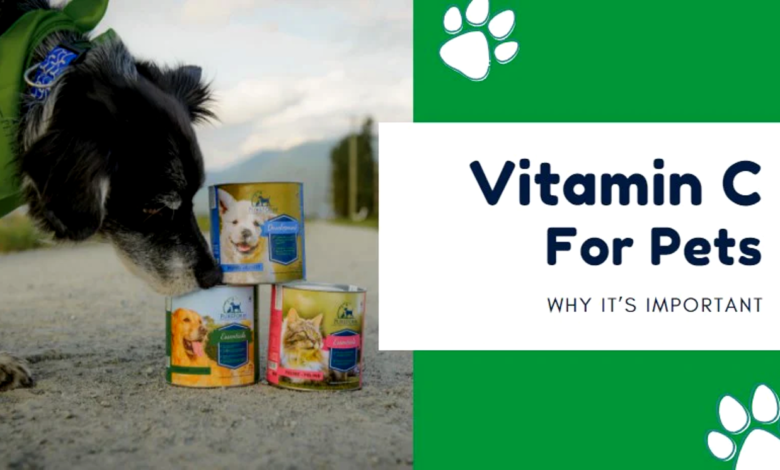 The Truth About Vitamin C for Pets