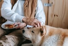 How Much Chicken and Rice to Feed Your Dog When It’s Sick?