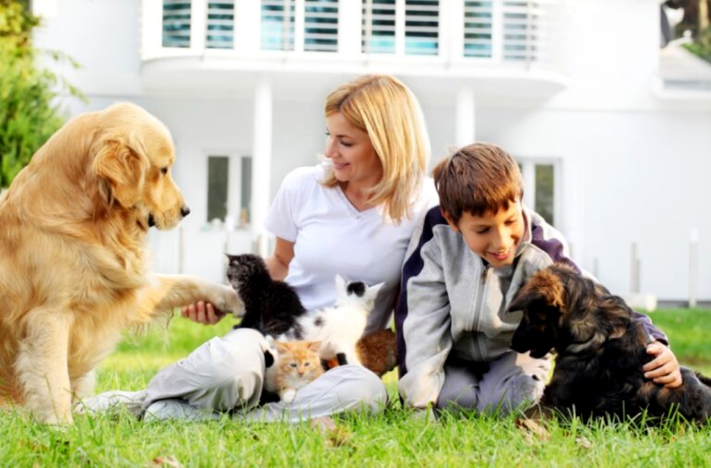 How to Choose the Perfect Pet for Your Family 15 Tips