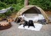 Tips for Pet Owners on Camping Safety