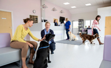 The Role of Pet Insurance Providing Financial Security for Pet Health Care