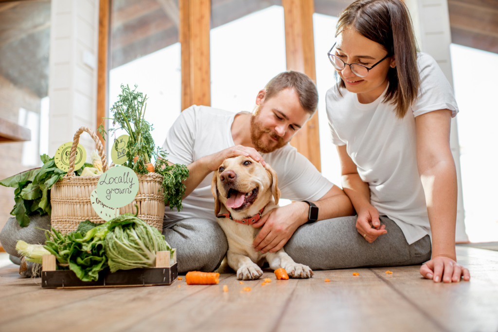 The Benefits of Natural and Organic Pet Products