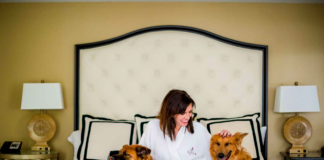 The Role of Pet-Friendly Hotels Finding Accommodations for Your Pet on the Road