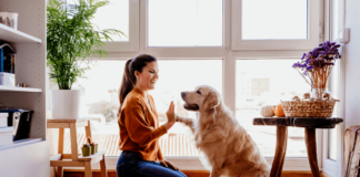 Understanding Pet Behavior: Improving Communication and Bonding