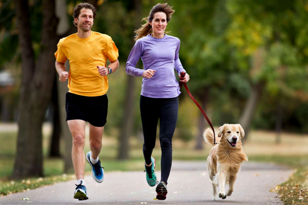 Benefits of Exercise for Senior Pets