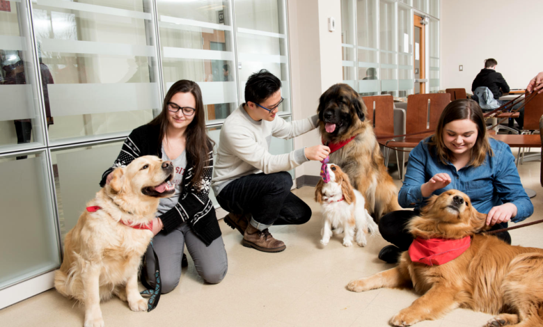 Pet-Assisted Therapy