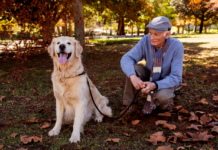 Pet Therapy in Elder Care