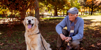 Pet Therapy in Elder Care