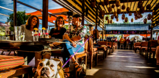 The Role of Pet-Friendly Businesses