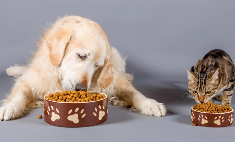 15 Top USA Pet Food Brands in 2024