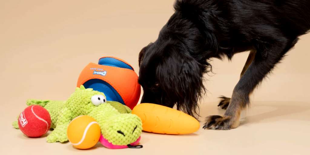 Affordable DIY Pet Toys for Your Furball