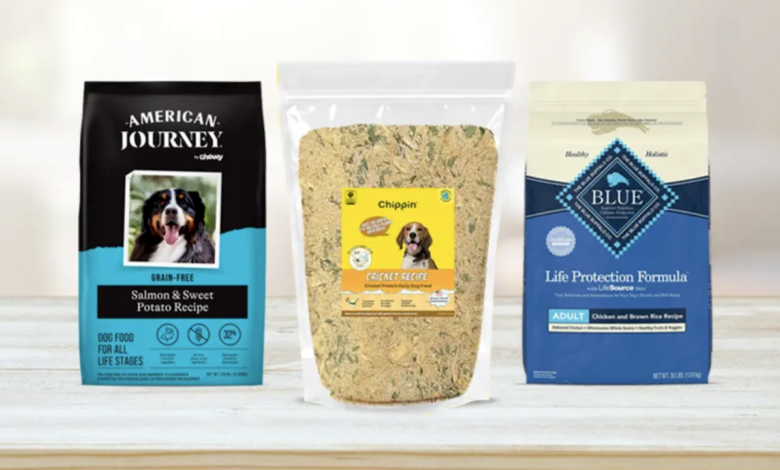 The Best Dry Dog Foods in 2024