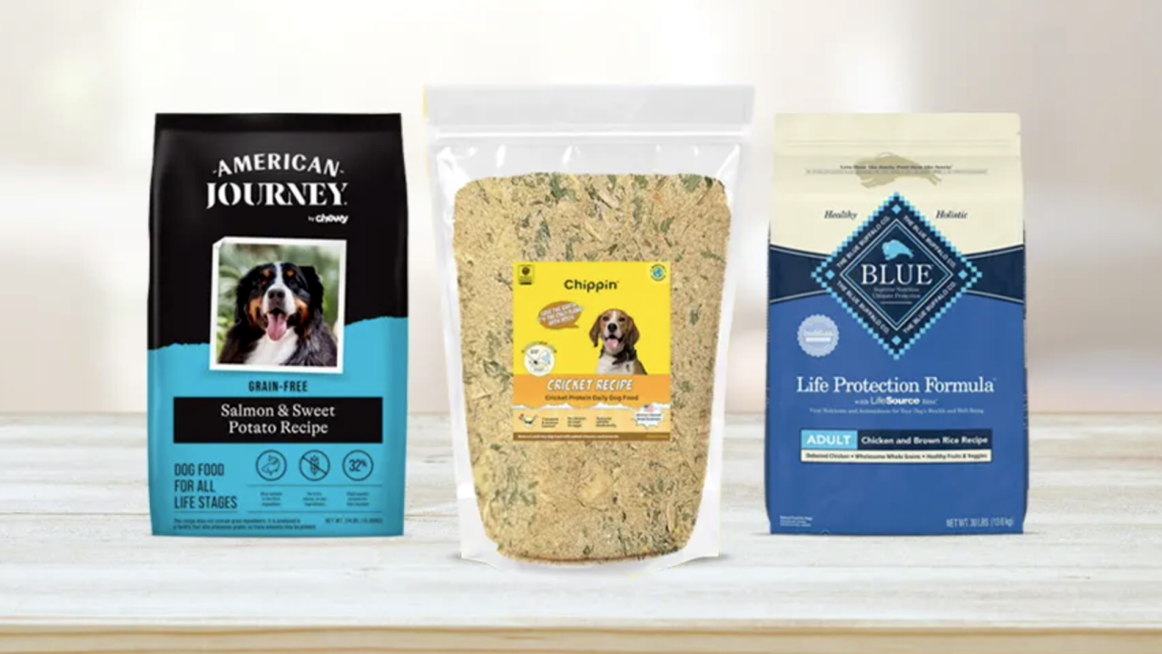 The Best Dry Dog Foods in 2024