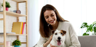 Breaking Down Different Pet Insurance Plans
