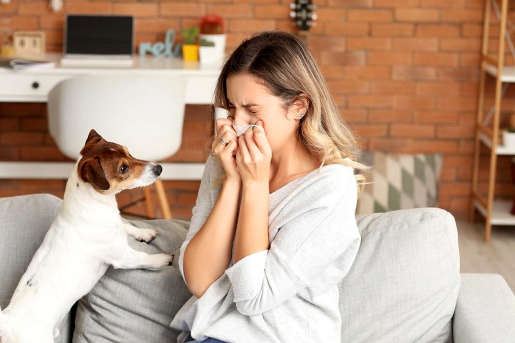 Pet Allergies