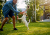 The Role of Exercise in Pets Well Being