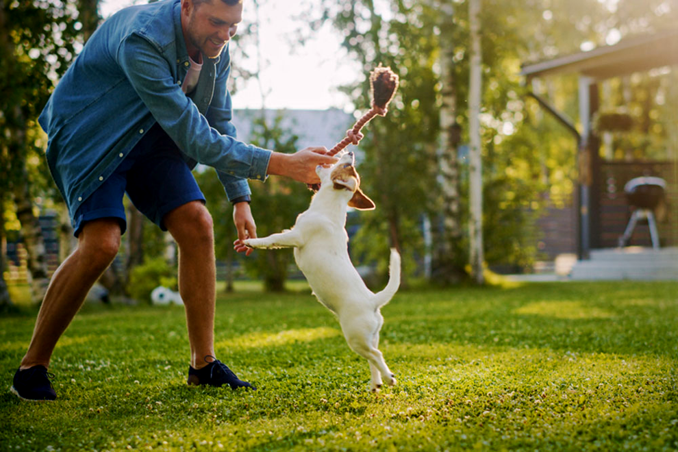 The Role of Exercise in Pets Well Being