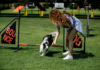 Choosing the Right Pet Trainer