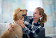 The Importance of Mental Stimulation for Pets