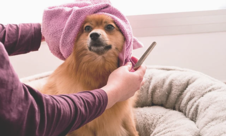 DIY Grooming