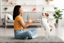 Pet Behavior