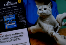 Pet Flu