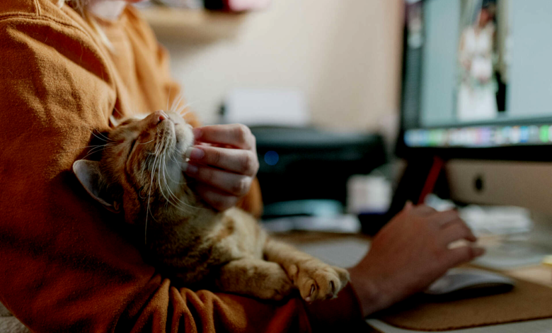 Balancing Work