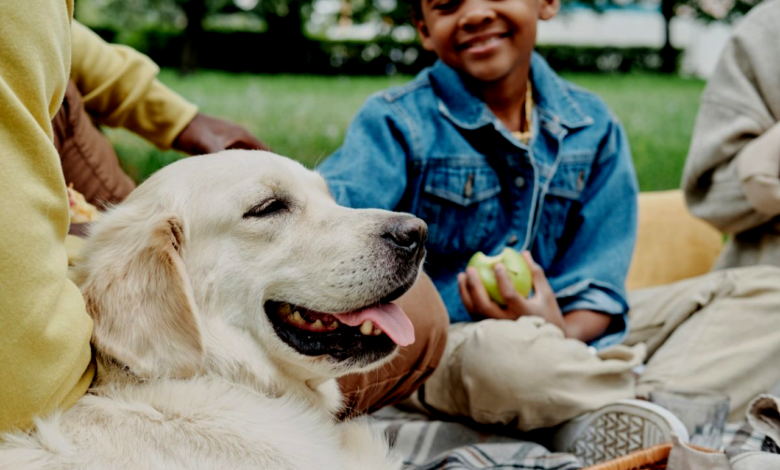 Dog Breeds