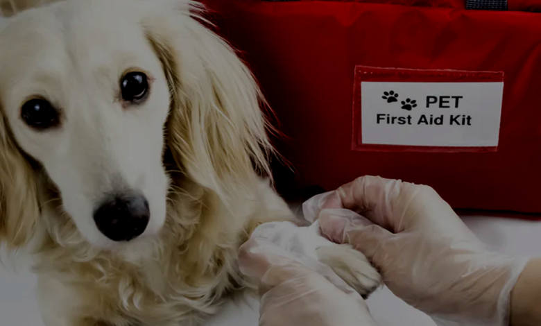 First Aid Kit