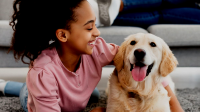 Pet-Proofing