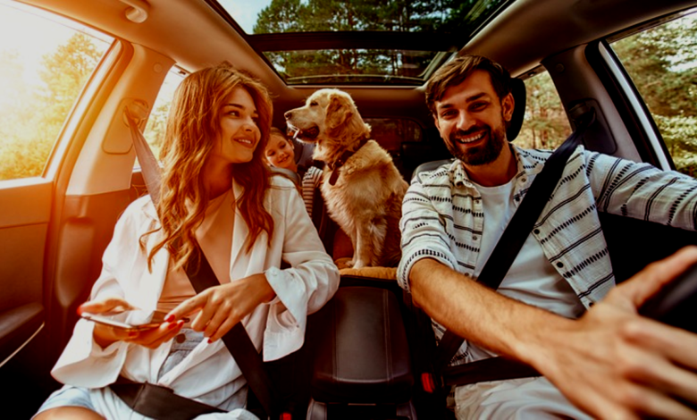 Traveling with Pets