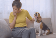 Pet Has Allergies