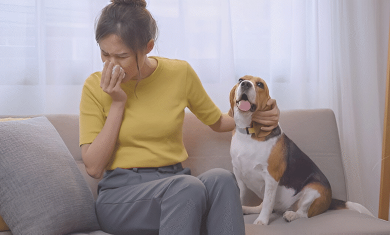 Pet Has Allergies