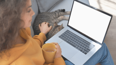 Pet Tech Gadgets