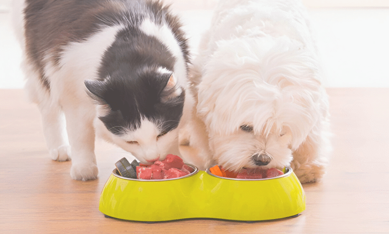 Raw Diet