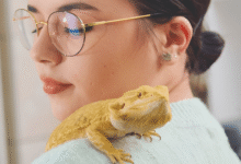 Reptile Owners