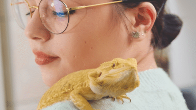 Reptile Owners