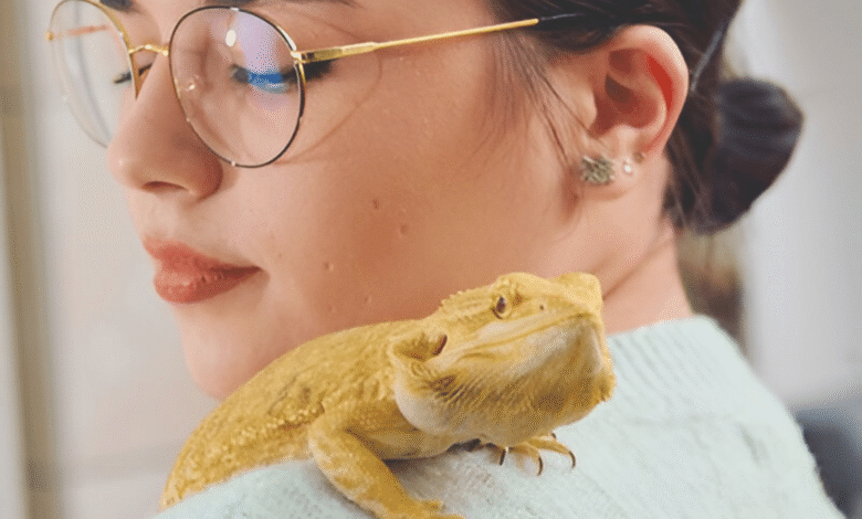 Reptile Owners